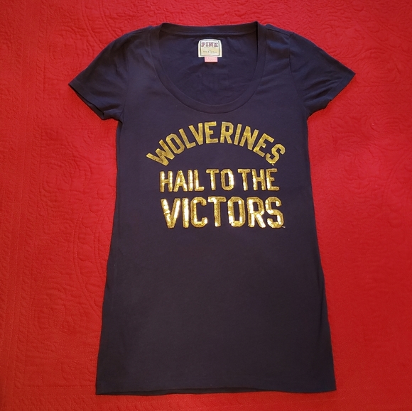 PINK Victoria's Secret Tops - Michigan Wolverines Hail to the Victors Tee PINK